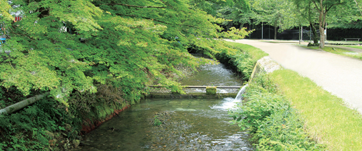 滋賀県醒井養鱒場ってどんなところ?