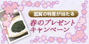 春のプレゼントキャンペーン