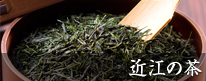 近江の茶