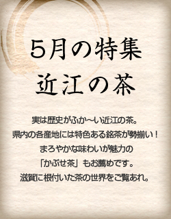5月の特集　近江の茶