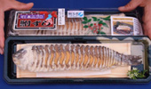 ショップサムネイル
