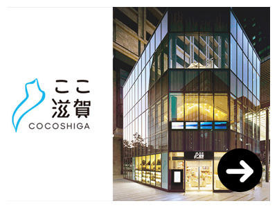 Link to the COCOSHIGA Website