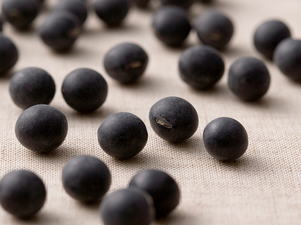 黒大豆