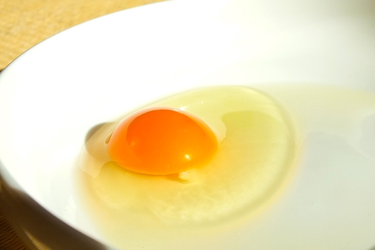 原養鶏所の卵を割ると、濃い黄身とこんもり盛り上がった白身！卵に力があるのは一目瞭然です