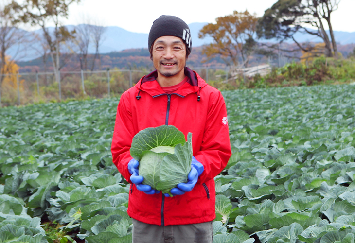 新旭町の安井川集落で冬キャベツを栽培している佐々木さん