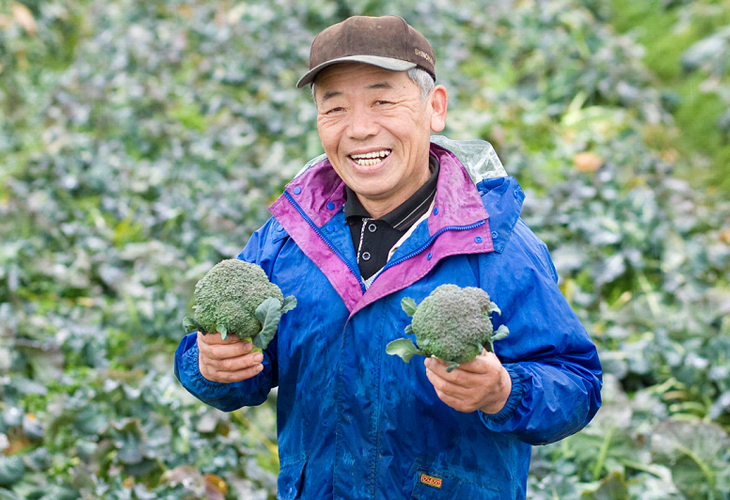 滋賀県近江八幡市の大中でブロッコリーを栽培する坪田さん。