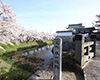 水口城跡(水口城資料館)