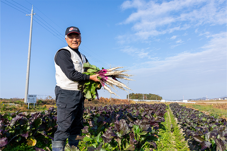 日野菜