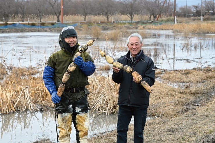 草津市「琵琶湖からすま蓮根」田中治嗣さん