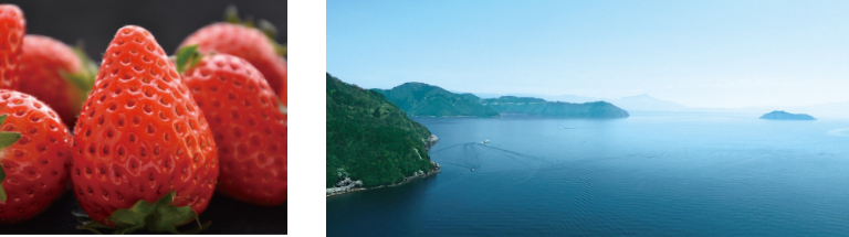 いちごと琵琶湖