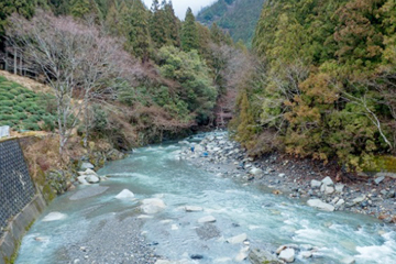 愛知川の源流とあって水は透明感があってきれい。