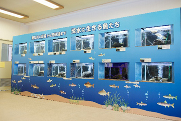 「森の中の水族館」。愛知川の渓流魚や琵琶湖にすむ湖魚などが見られます。
