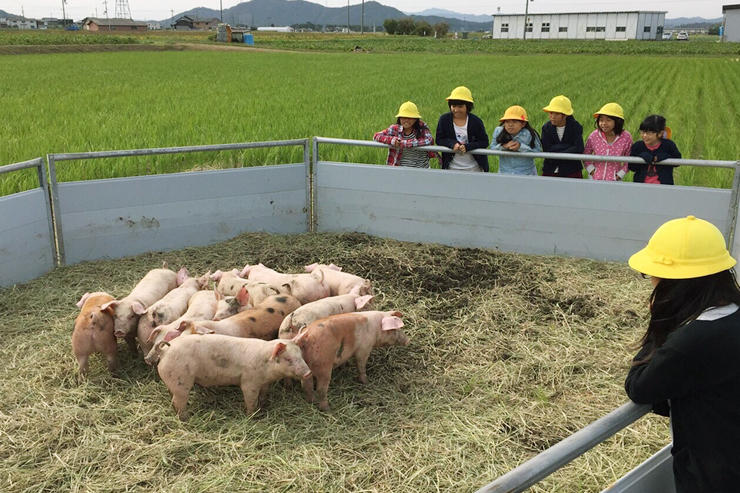 老蘇小学校の子どもたちに地元の仕事として養豚業を紹介