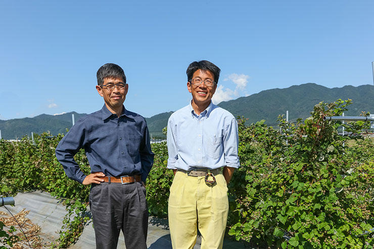 農業生産法人／株式会社あぐりきっずの代表・坂嵜さん（左）と栽培責任者の黒川さん（右）