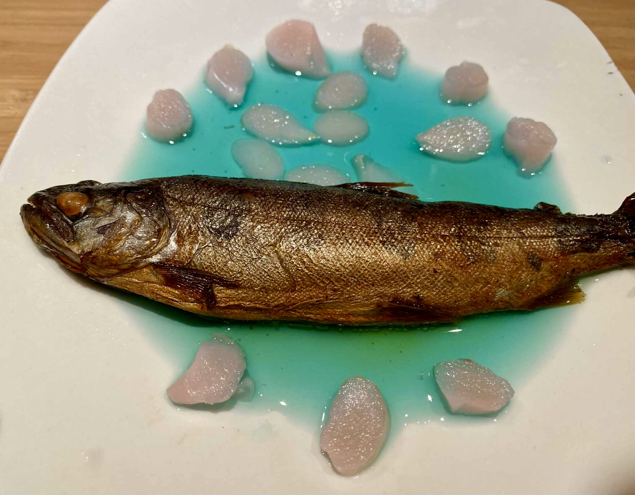 RINO琵琶湖の古代魚.JPG